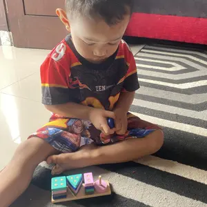 MAINAN EDUKASI ANAK BASIC SHAPE KAYU BALOK GEOMETRI TOYS BENTUK WARNA