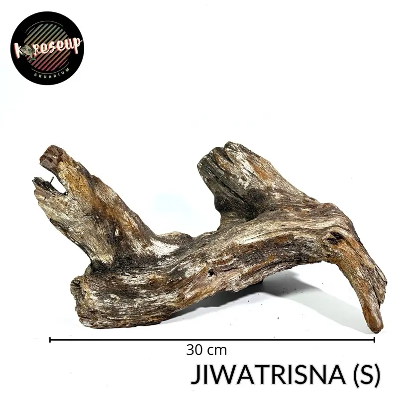 AKAR SANTIGI LAUT (S) AKAR TENGGELAM AKAR AQUASCAPE untuk hiasan Aquarium 40-60cm