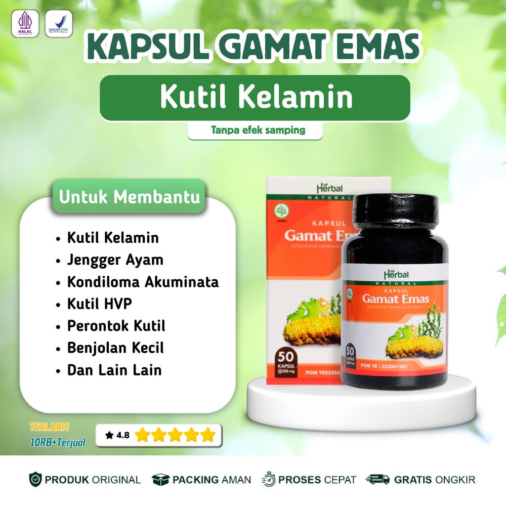Suplemen Kesehatan Kapsul Gamat Emas untuk Kutil Kelamin Kondiloma Akuminata Jengger Ayam dan Kutil HPV - Kapsul Gamat Emas