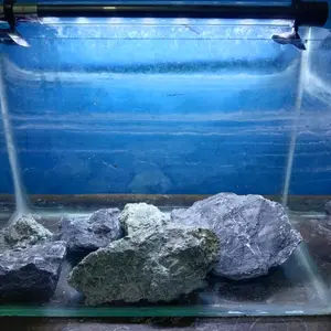 Lampu LED Celup Aquarium T4 20Cm, 30Cm, 40Cm Aquascape
