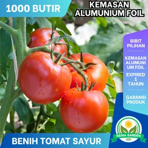 1000 Biji Benih Tomat Merah Unggul Kualitas Tinggi Potensi Tumbuh Baik Hasil Panen Lebat dan Berbuah Banyak