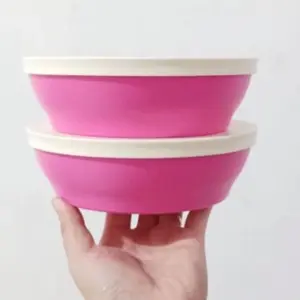Ichigo bowl Tupperware 520 ml x 2 pcs