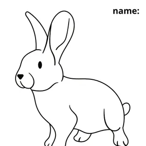 rabist collor, drawing, mengasah otak anak