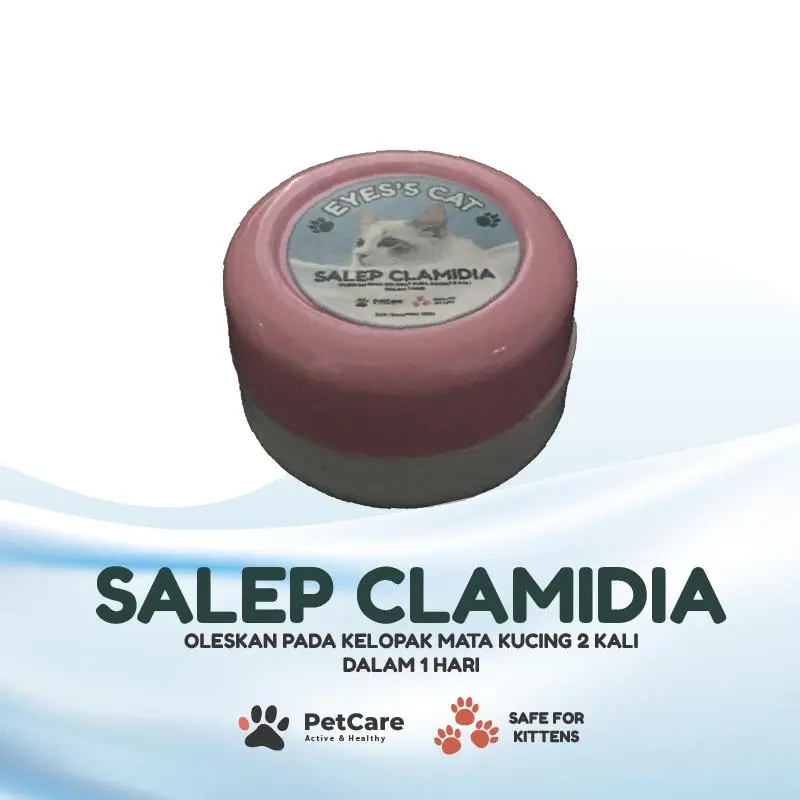 Salep Clamidia Untuk Mata Kucing Bengkak Bernanah dan Gatal
