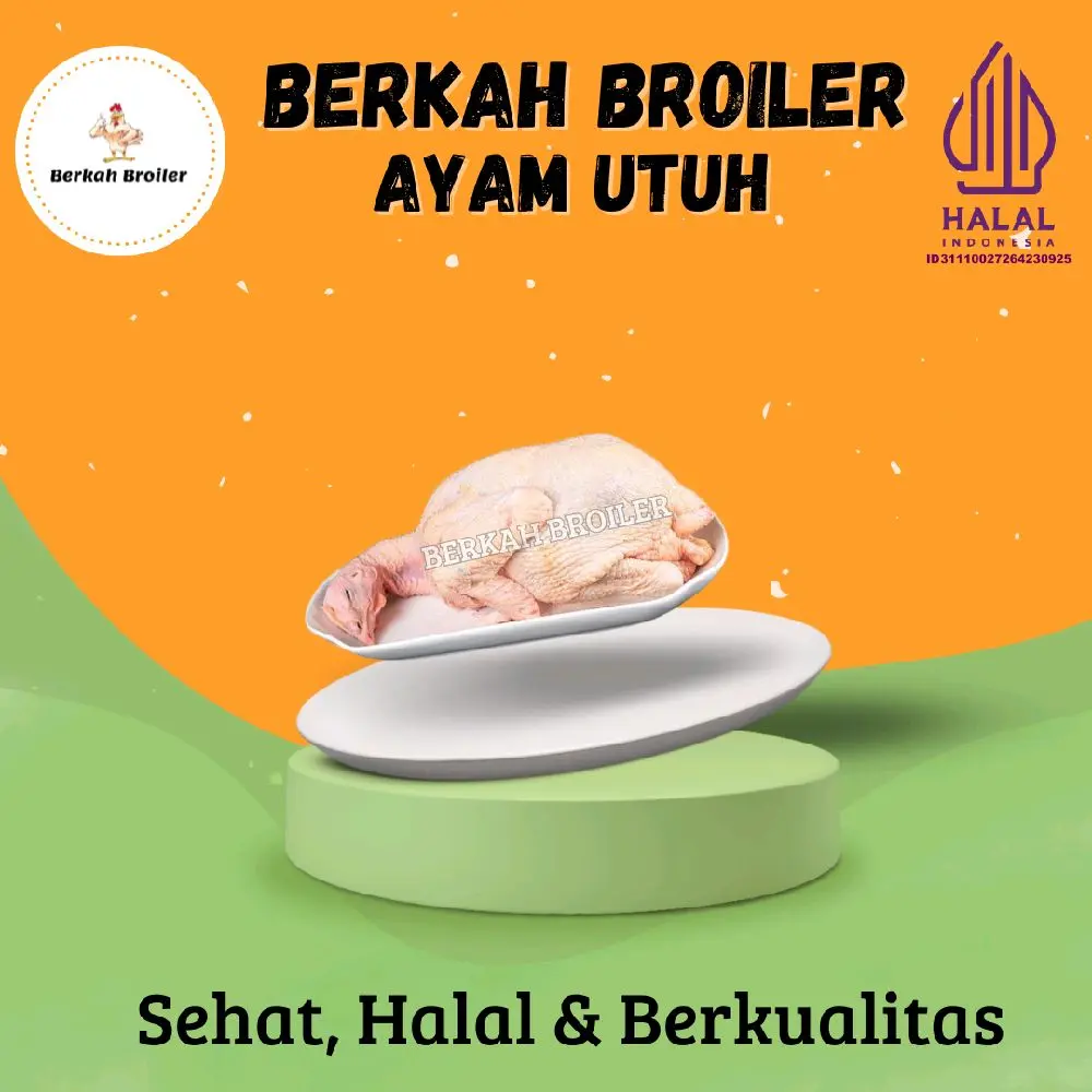 Ayam Broiler Utuh Segar Ukuran Hidup 2,0 kg.