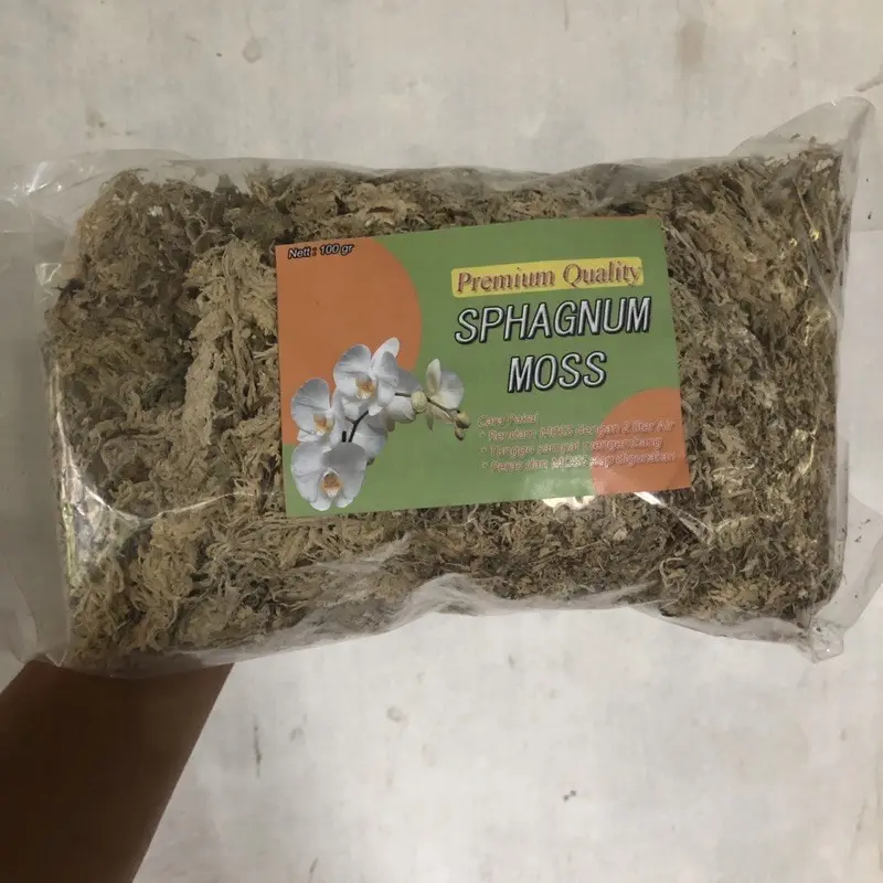 MEDIA PREMIUM SPAGHNUM MOSS CHILE TANAMAN ANGGREK DAN CARNIVORA 100GRAM
