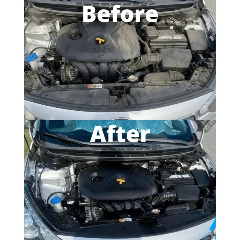Sonax Engine Cold Cleaner Ecer - Pembersih Ruang Mesin Menghilangkan Kotoran 5