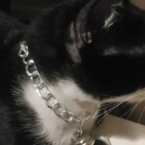 Kalung kucing rantai gold dan silver lonceng besar 26mm bisa request ukuran diameter kalung