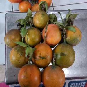 Buah konyal markisa madu markisa manis 1kg fresh Buah
