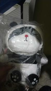 Product Review of Boneka Kucing Furyu Terbaru Mainan Anak Boneka Lucu 30cm Plushie Bahan Halus Dan Lembut Berstandar SNI Dolls from D**l 0
