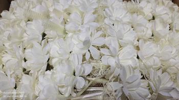 Product Review of 50pcs PREMIUM BUNGA TELUR / BUNGA TELOR / BUNGA TELUR MURAH / EGG FLOWER / DOORGIFT HADIAH KAHWIN TUNANG HANTARAN/ BT8100 from A**h -**t 0