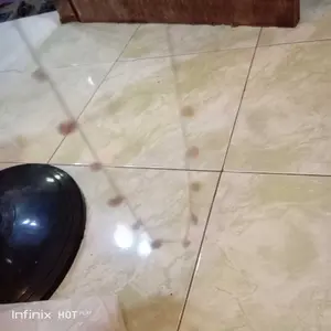 Kalung,Anting,Gelang,Titanium  Dengan Motif  Elegan, Anti luntur, Anti Karat.Aksesoris Fashion untuk Wanita Sehari-hari