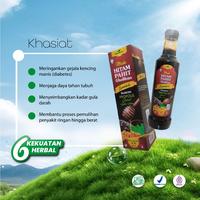 Gambar Madu Hitam Pahit Insulin Plus Gamat Gholiban dari Wahana Herbal Kota Bekasi 2 Tokopedia