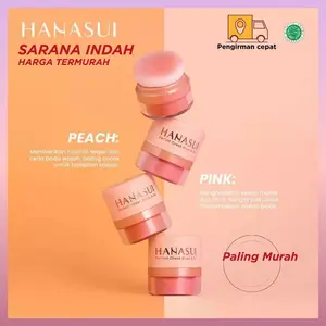 Hanasui Perfect Cheek Blush & Go Powder - Blush On