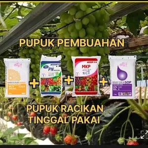 1,PAKET RACIKAN PUPUK PEMBUAHAN ANGGUR KELENGKENG ALPUKAT DLL.{MKP KNO3 PUTIH DAN BORON}PAKET PEMBUAHAN REPICK. Bunga Tanaman pembuahan