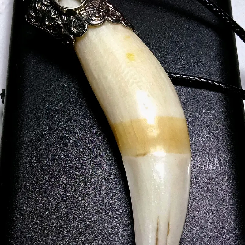 aksesoris Taring HM lengkap dengan kalung 2