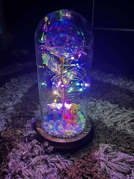 Product Review of Petal & Goldies Galaxy Couple Bear Rose Dome - 1 Pc Bunga Mawar Lampu LED Kado Hiasan Dekorasi Ruangan Kamar Couple Pasangan Gift Hadiah Pajangan from ** 0