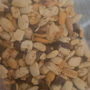 Rempatera - Godril Kupas Siap Santap, Godril Gepuk Cemilan Jaman Dulu - biji trembesi kupas