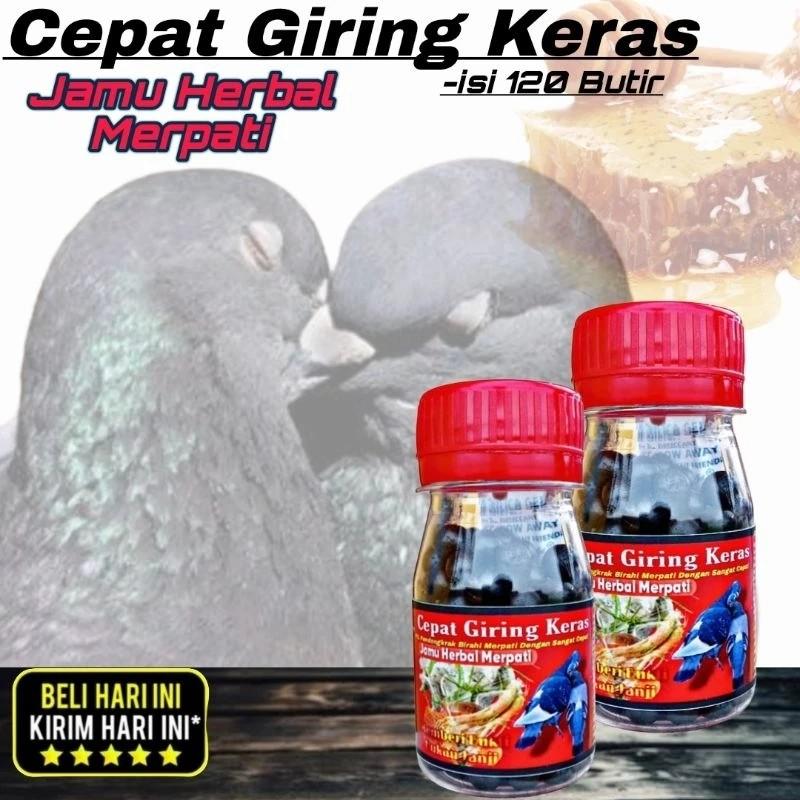 Product Introduction of 120 BUTIR JAMU HERBAL MERPATI CEPAT GIRING KERAS gingseng teki rhm rjb extra jp vetafarm eternoz hff 25