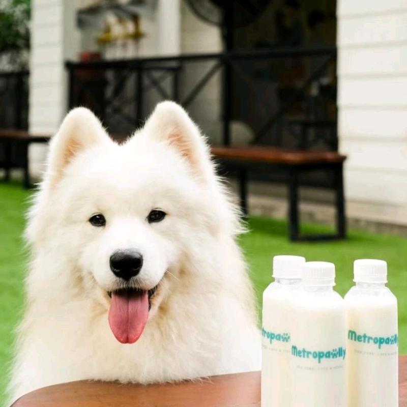 Susu doggy/goat milk 3