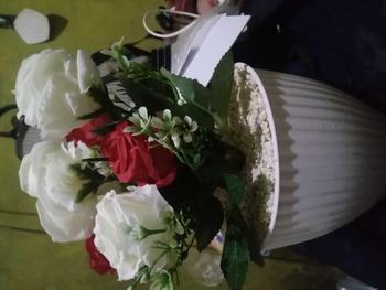 Product Review of Bunga hias MAWAR TELUR Vas Garis from G**️ 0