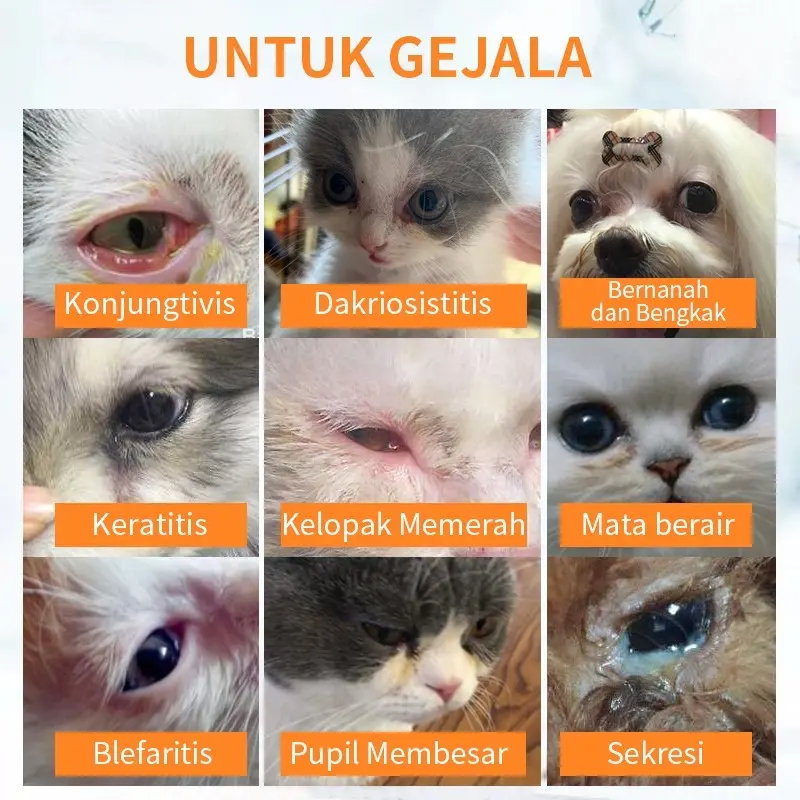 PUAINTA 8ml/botol Tetes Mata untuk Kucing dan Anjing Konjungtivitis Keratitis Mata Kemerahan dan Nanah di Mata 6