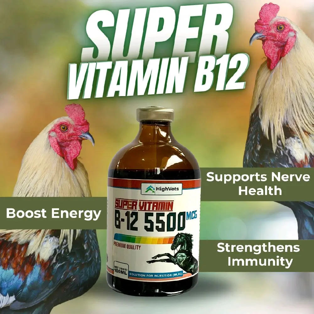 SUPER VITAMIN B12 5500MCG with Liver Extract - Vitamin B12 + B15 for Gamefowl (Kondisyon ng Manok) - TikTok Shop Philippines SUPER VITAMIN B12 5500MCG with Liver Extract - Vitamin B12 + B15 for Gamefowl (Kondisyon ng Manok) - TikTok Shop Philippines