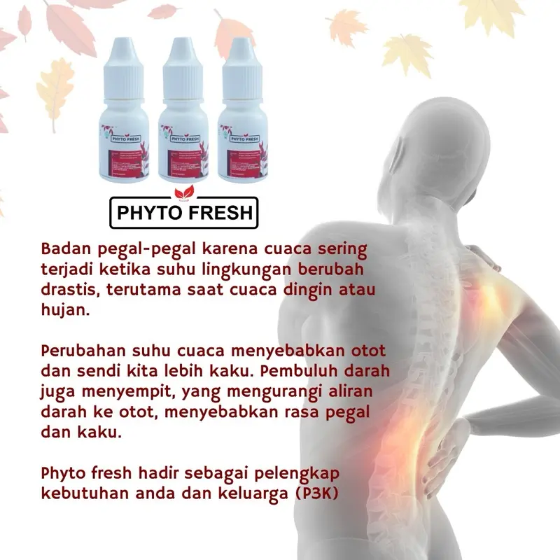 ️ PHYTO FRESH️ 3-BOX ISI 30-PCS Phyto Fresh Minyak Angin Aromatheraphy Phytofresh Roll On 4mL 4
