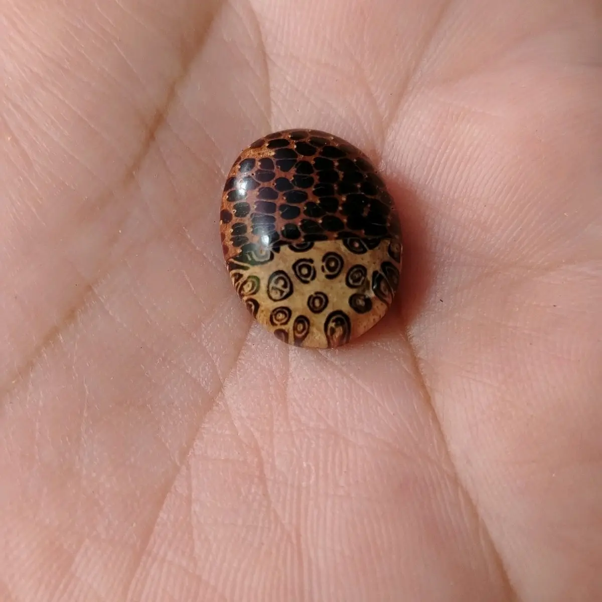 PERMATA CINCIN GABUNGAN TERAS IBOR MIX BERTAM