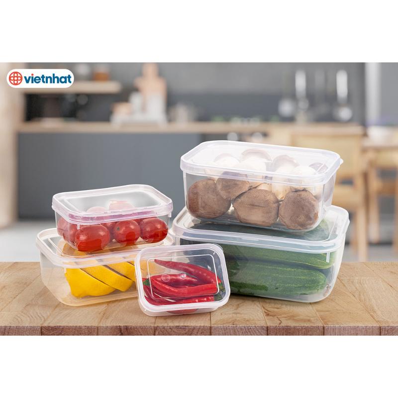Bộ 5 hộp lạnh bầu đựng thức ăn Việt Nhật, Hộp trữ đồ đông đồ ăn dặm cho bé (h