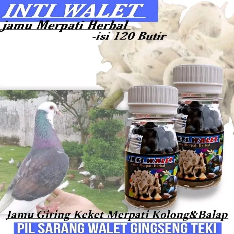 LIUR WALET ISI 120 BUTIR JAMU MERPATI SARANG WALET/extra power speed stut door los door los pool rjb