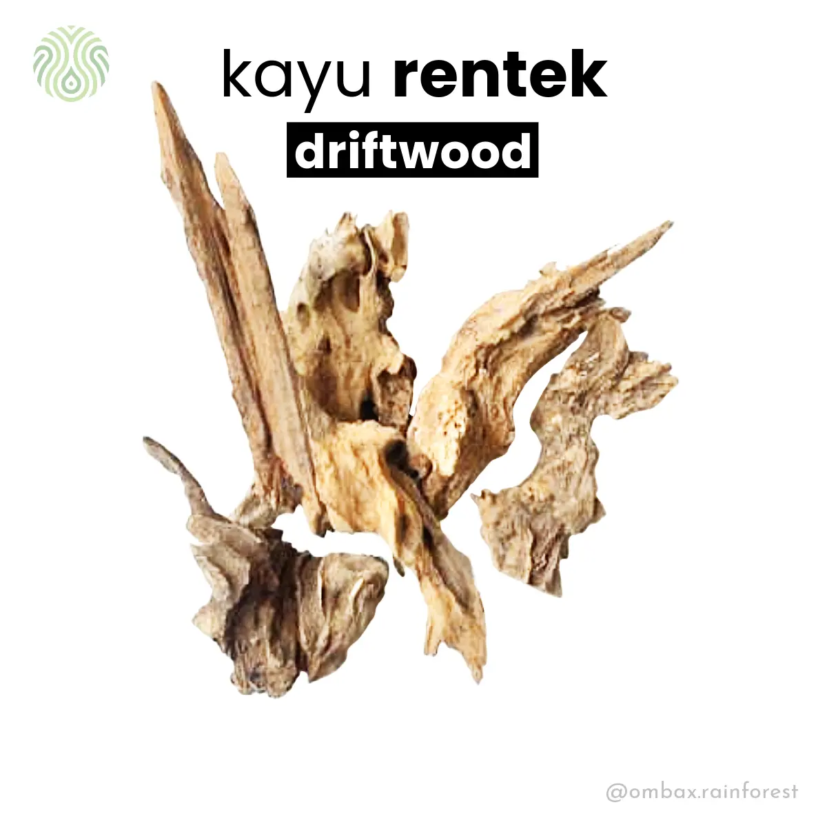 Driftwood - kayu rentek - kayu jati / Aquascape, Vivarium, & Paludarium
