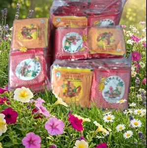 Gunasari Asli Original 4 Pak 31 Saset Kualitas Terbaik untuk Kebutuhan Anda