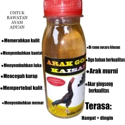 Obat gosok kaisar untuk ayam 2