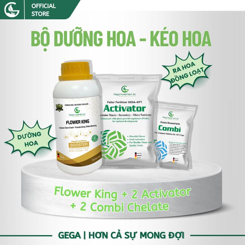  Phân bón kéo dưỡng hoa – COMBO FLOWER KING ACTIVATOR COMBI GEGA – Bung hoa mạnh hoa nở đều tăng đậu 