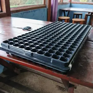 YKO Tray Semai Benih Dulang 21 32 105 128 200 Lubang Potray 0.8mm Seedling Tray Dulang Benih Berkualitas Tinggi(DISARANKAN PEMBELIAN MINIMAL 10 PCS)