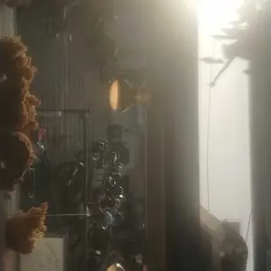 Lampu Spot  / Lampu Penghangat / Makanan & Hewan Ternak SATUAN