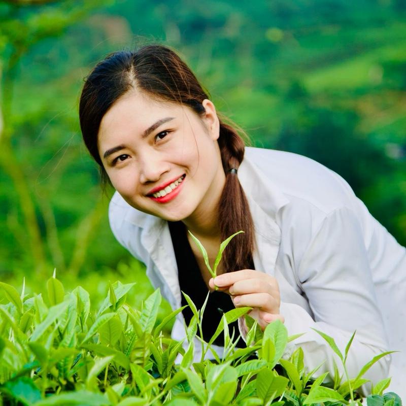 Trà shan tuyết (200k/1ký)