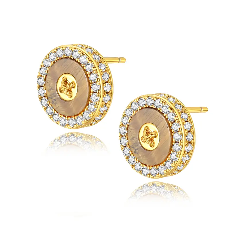Earrings for women fashion jewelry