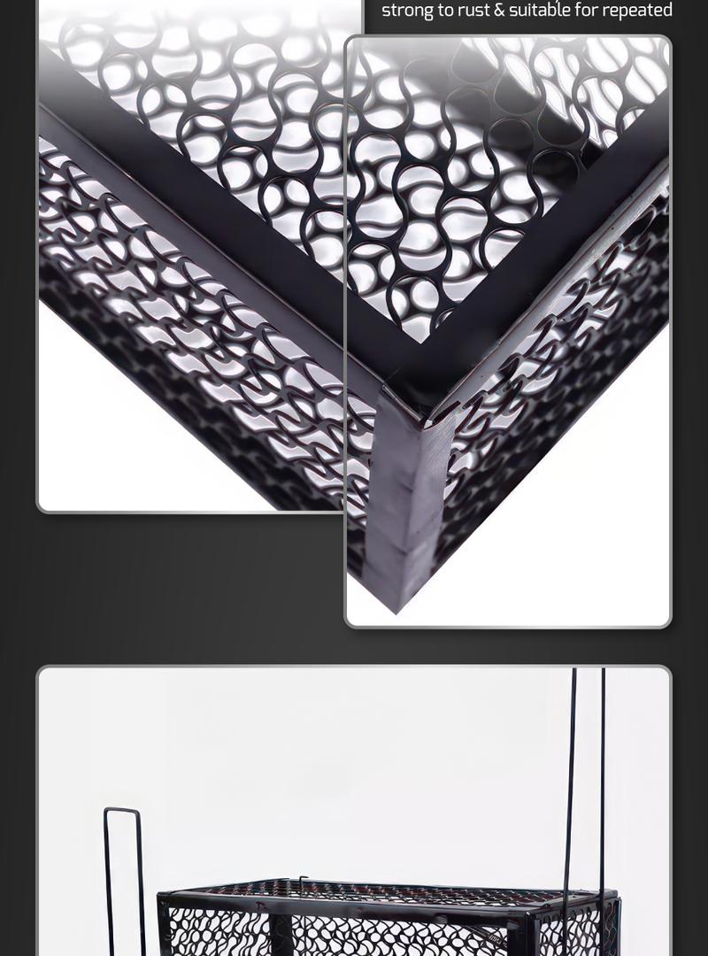 Product Introduction of HOUZE - Mouse and Rat Trap Cage - Big 5