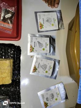 Product Review of Benih premium selada hijau kemasan urban farming from D**😘 0