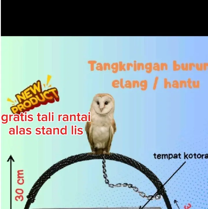 TANGKRINGAN BURUNG HANTU/ELANG Aksesori Unik untuk Burung Hantu dan Elang dengan Tali Rantai Gratis dan Tempat Kotoran
