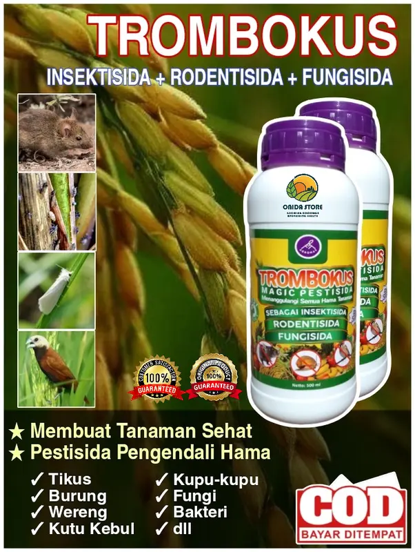 TROMBOKUS MAGIC PESTISIDA+ZPT SEBAGAI INSEKTISIDA, RODENTISIDA, FUNGISIDA ORGANIK PENGENDALI SEGALA HAMA BURUNG DAN TIKUS UNTUK SEMUA TANAMAN 4