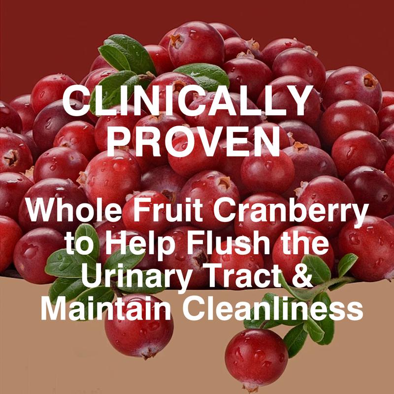 Buporai - Ekstrak Cranberry 500MG dan Suplemen Softgel Cranberry - Mengandung Vitamin C - Membersihkan Saluran Kemih - Menjaga Kesehatan Sistem Kemih - Bebas Gluten - Bebas Ragi - Non-GMO 3