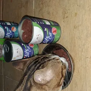 Gosend Makanan Kucing Wet Food Kaleng kornet Life Cat 400 Gram