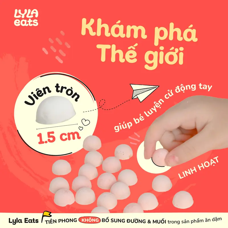Combo 9 Túi Sữa Chua Sấy Không Đường Lyla Eats Hương Vị Tự Nhiên Ổi, Dâu, Chuối cho bé 4