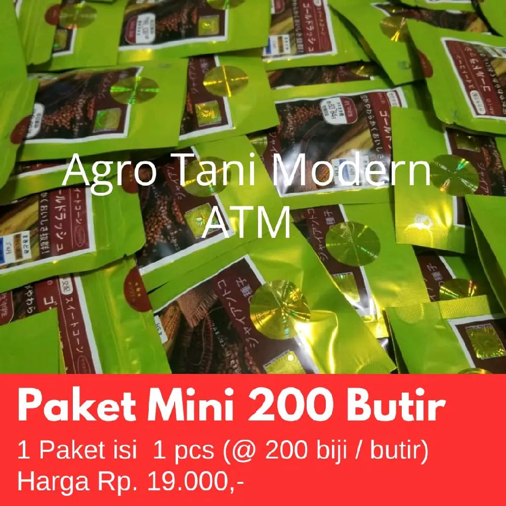 Benih Jagung Jepang Raksasa (isi 200 biji)