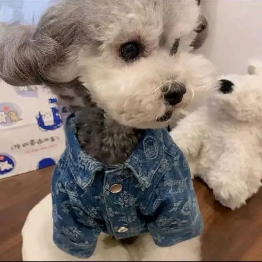 Pets Clothing Cat Dog Baju Anjing Kucing Jeans Jacket