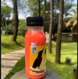 GLEDEK NEKTAR NEXTAR NECTAR PINK PAKAN BURUNG KONIN KOLIBRI SOGON