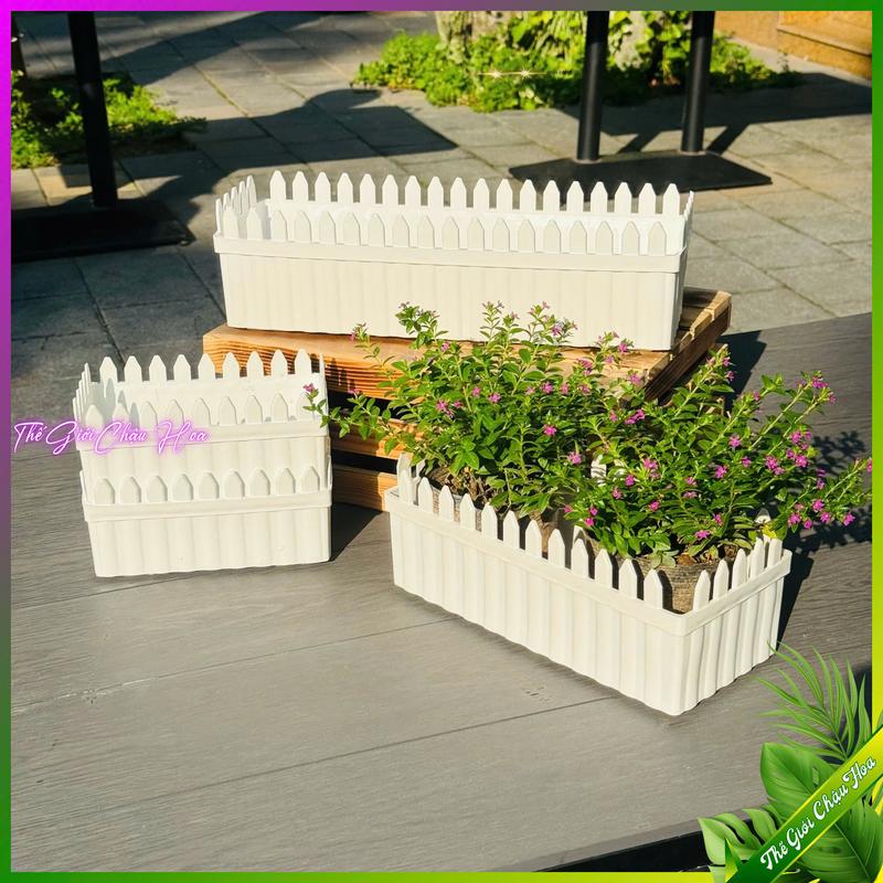  5 Chậu nhựa chữ nhật hàng RÀO TRE,Chậu trồng cây và hoa trang trí ban công Lan can Phòng làm việc nhà cửa sân vườn 